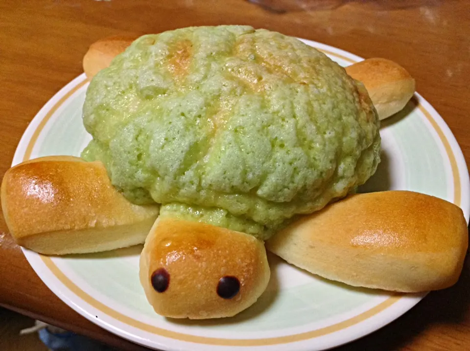 カメのメロンパン|岩﨑 正勝さん