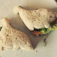 Avo and tomato dinosaur sandwhich on low GI white bread.