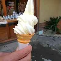 豆腐のソフトクリーム🍦|りかさん