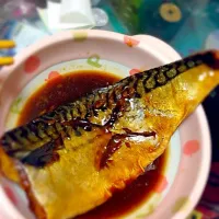 Snapdishの料理写真:鯖の味噌煮|夏海さん