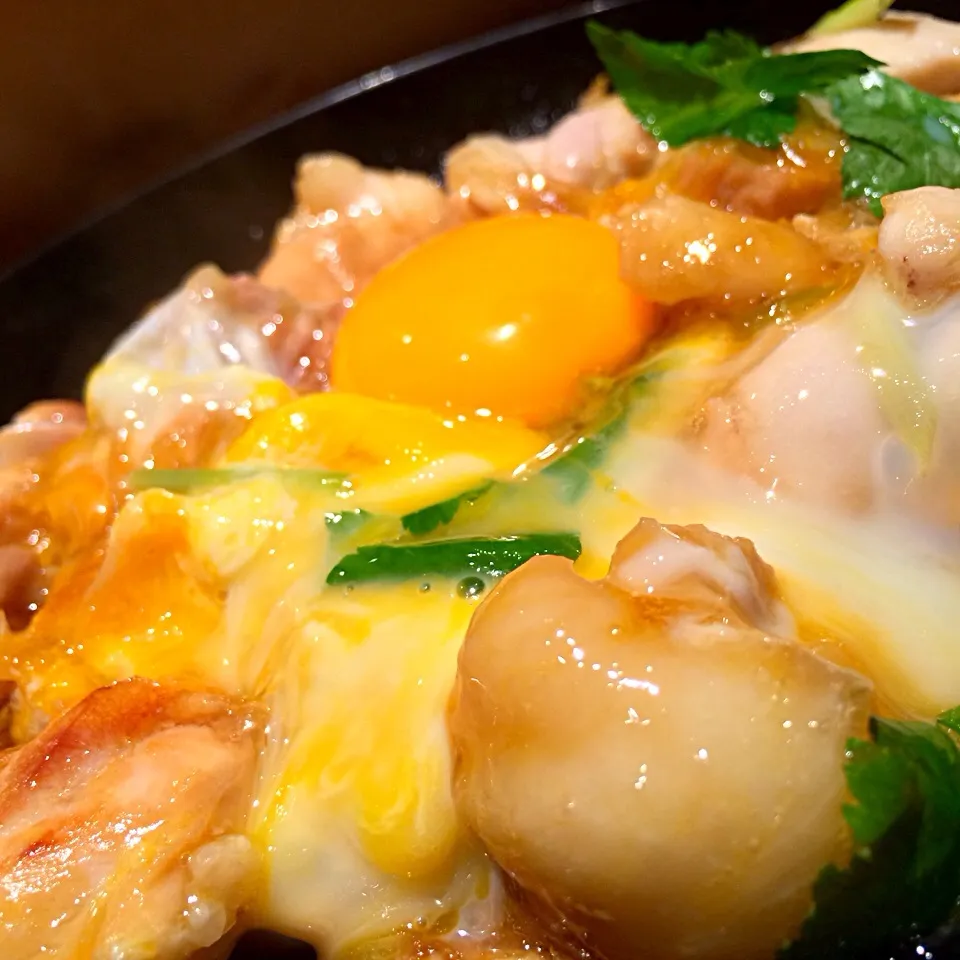 Snapdishの料理写真:親子丼|tani446さん