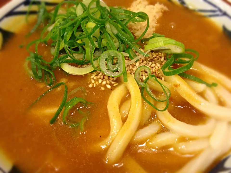 寒い日は 生姜入りカレー饂飩|tarqarさん