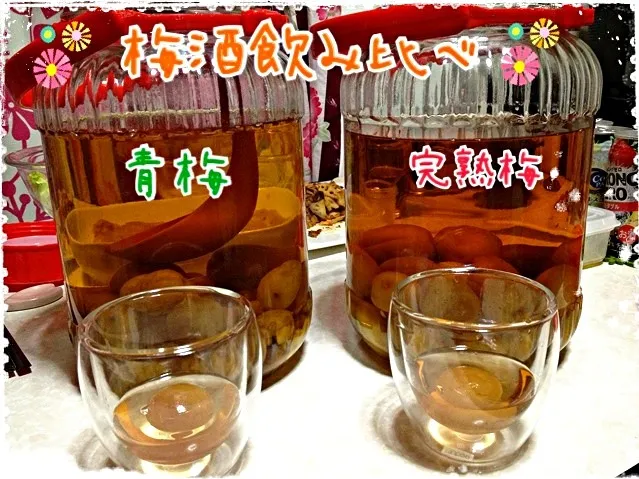 手作り梅酒飲み比べ😋|みきぴょん♪さん