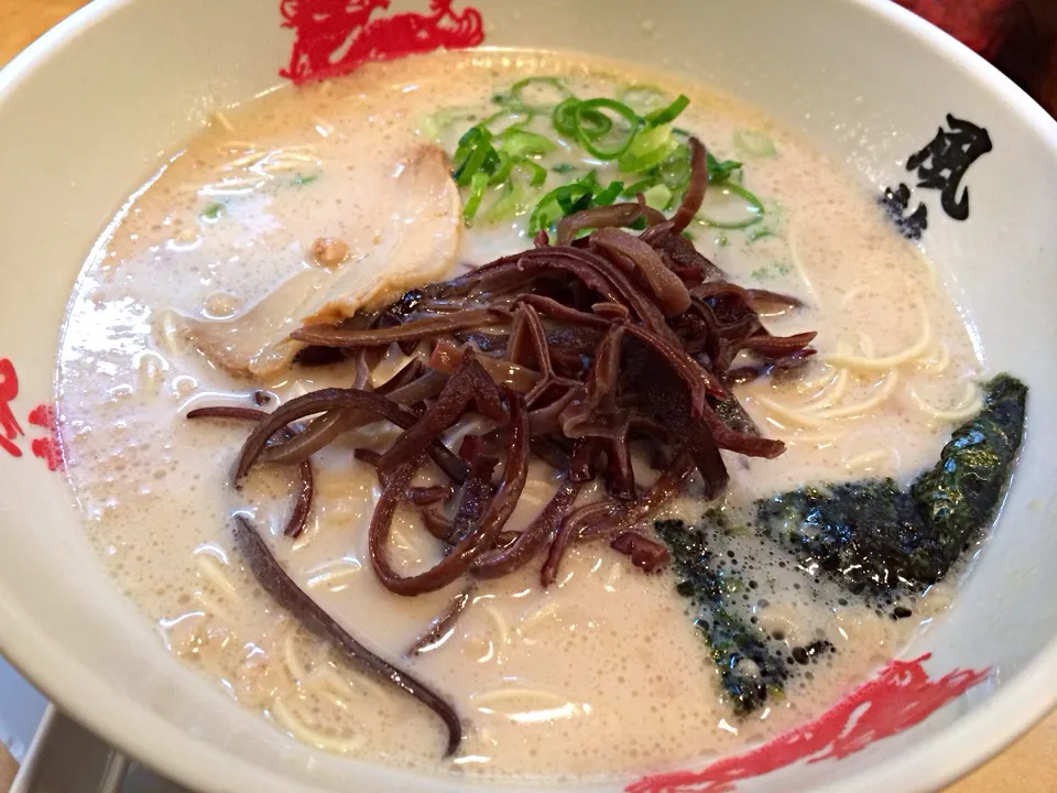 とんこつラーメン バリかた|tecklさん