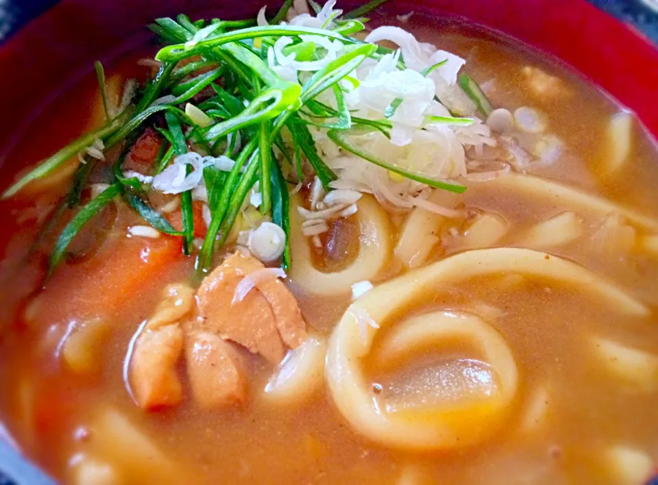 香辛料たっぷりカレーうどん♪|桃実さん