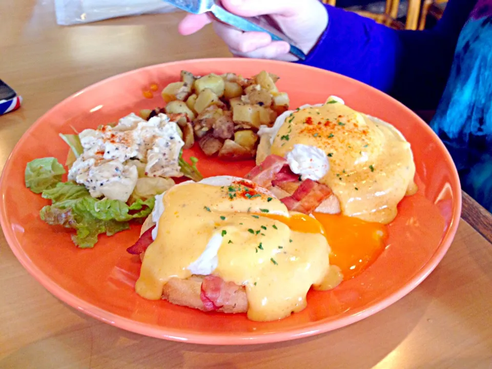 Eggs Benedict|Jason Garlockさん