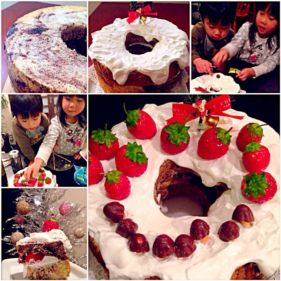 Snapdishの料理写真:Marble chocolate chiffon cake🎄切り株に見立てたﾁｮｺﾏｰﾌﾞﾙｼﾌｫﾝｹｰｷ|🌈Ami🍻さん