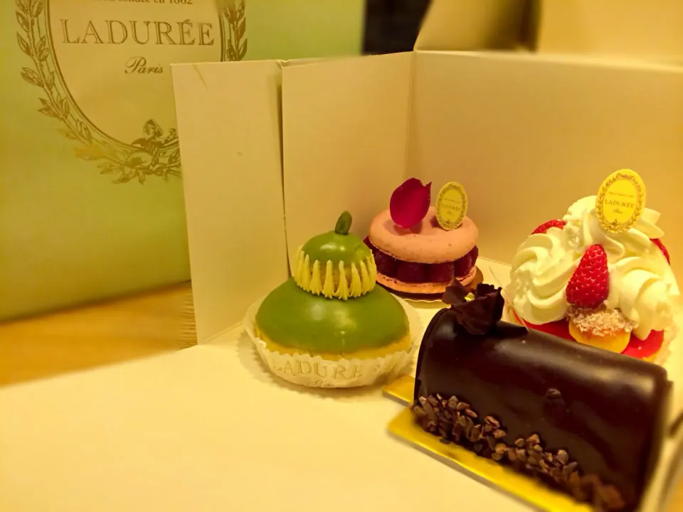 LADUREE cake♡my birthday|Suzuka Kitaguchiさん