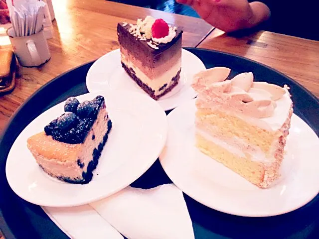 Snapdishの料理写真:blueberry cheese cake . chocolate cake. chestnut mousse cake|김도희さん