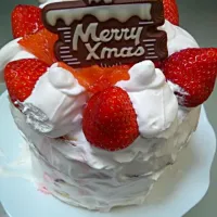 ｸﾘｽﾏｽｹｰｷ!(^^)!|聖さん