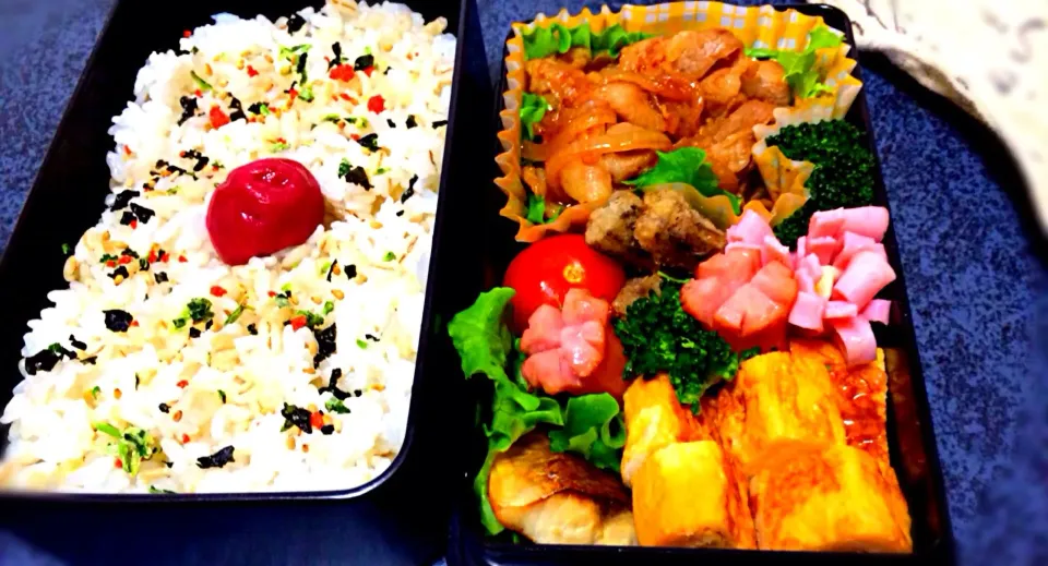 Snapdishの料理写真:パパのお弁当 〜生姜焼き、メヒカリ揚げ、卵焼き、ウインナー、鯖の塩焼き、ミニトマト、ブロッコリー、ハムのチーズ巻き|コッピーさん