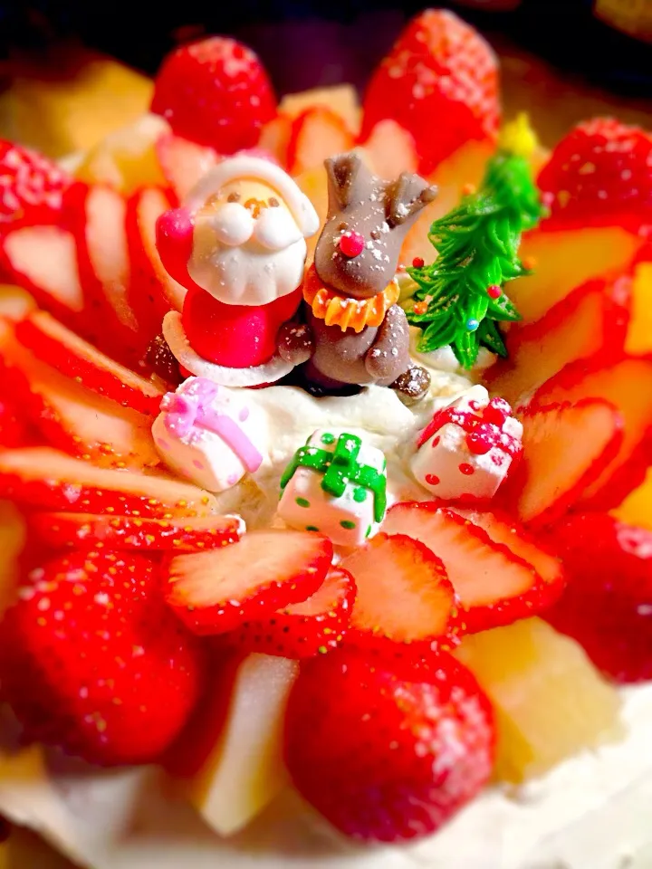 Snapdishの料理写真:クリスマスケーキ2013|Marmaladeさん