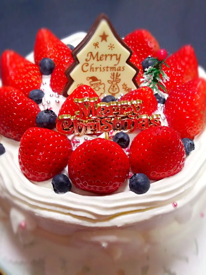 旦那ごはんdeクリスマスケーキ|まにまぁるさん