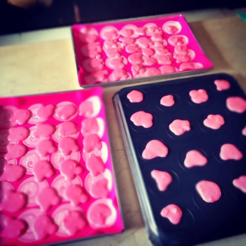 Snapdishの料理写真:Pink teddy Macaron|Pimmie Masayavanichさん