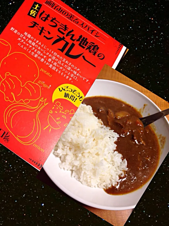 Snapdishの料理写真:土佐はちきん地鶏のチキンカレー|中華蕎麦 銀時さん