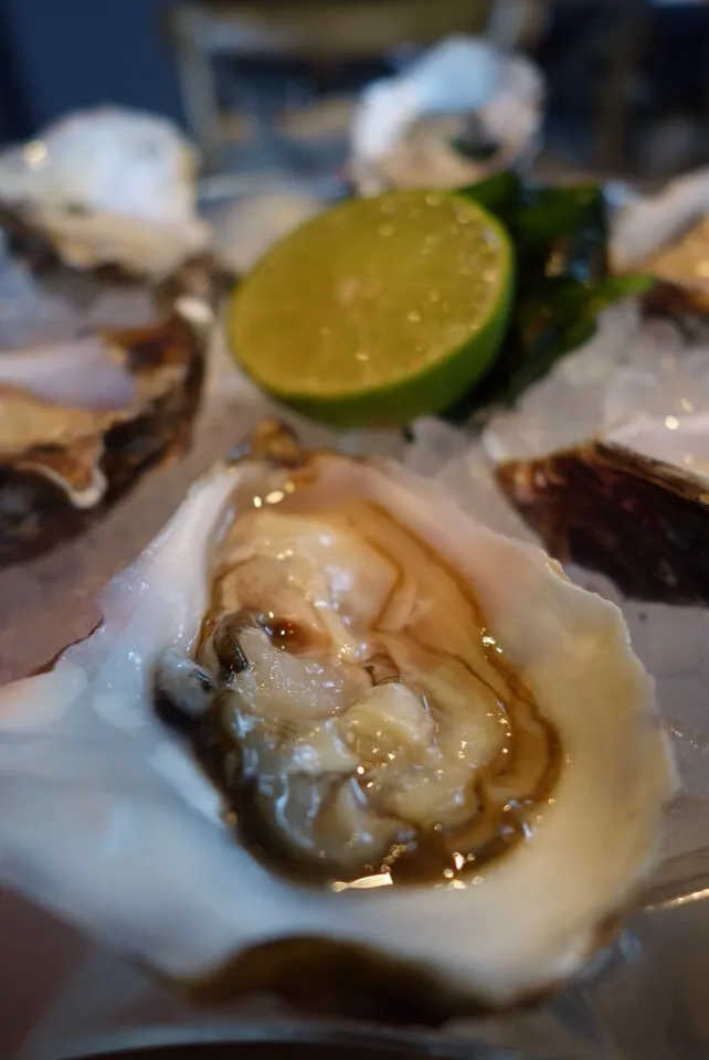 Oyster on plate|Salvatore Cuomoさん