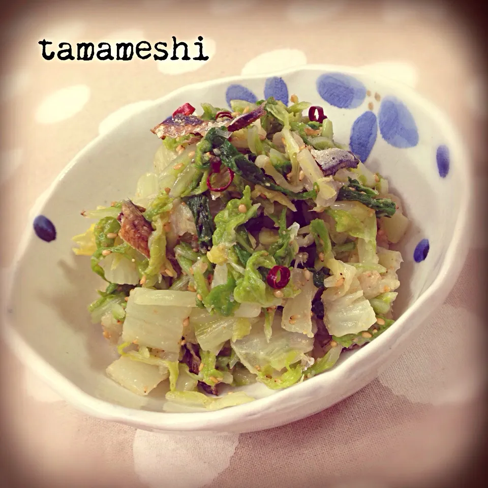 tama家の＊白菜の和え物|tamaさん