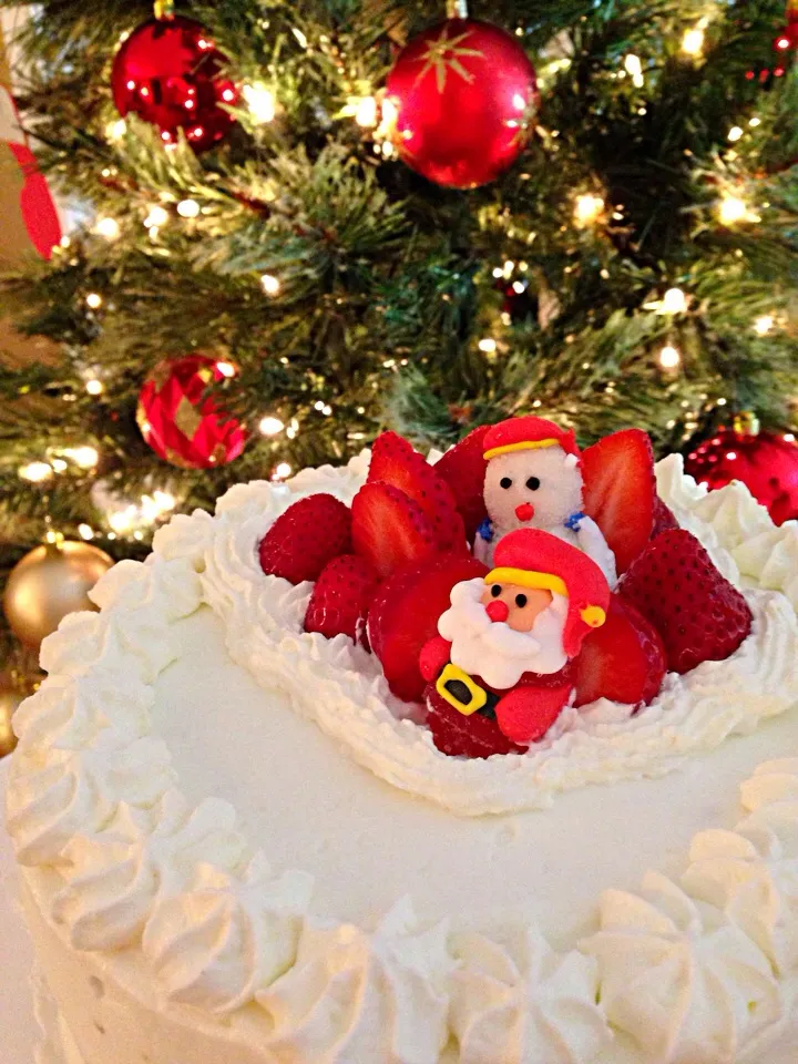 Snapdishの料理写真:2013 Christmas cake|nonさん