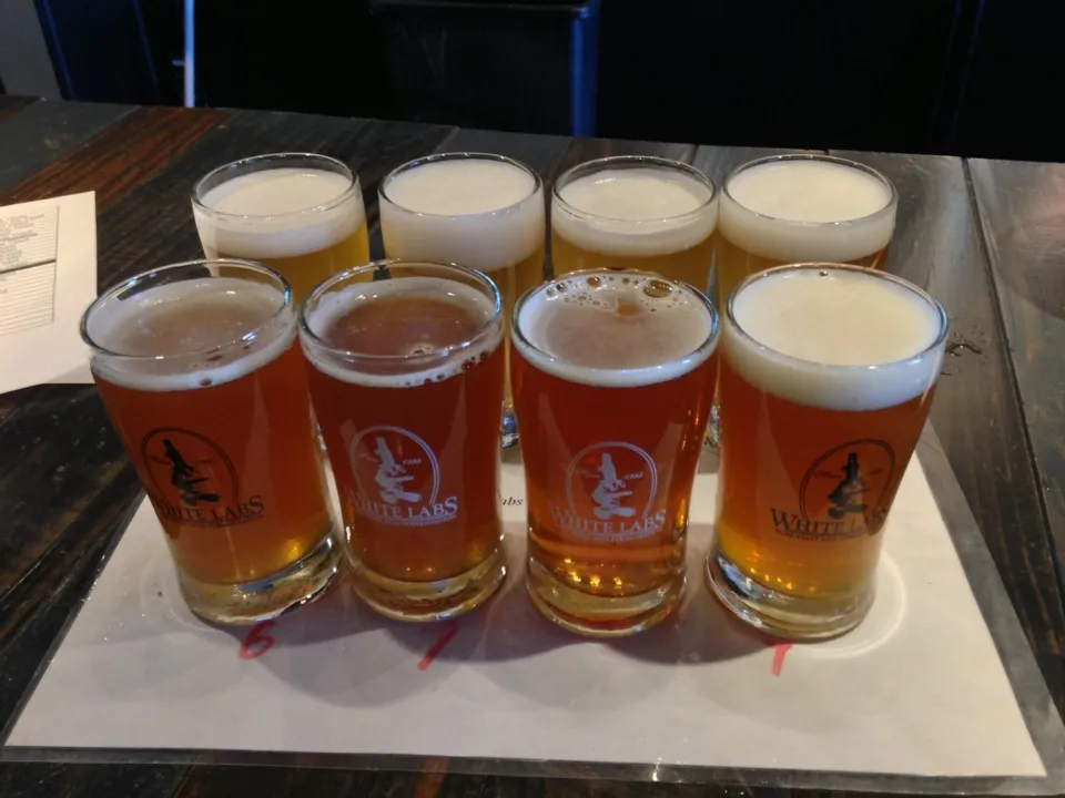 Hefeweizen WLP300,320,351,380 IPA WLP001,007,028,545|PegaOさん