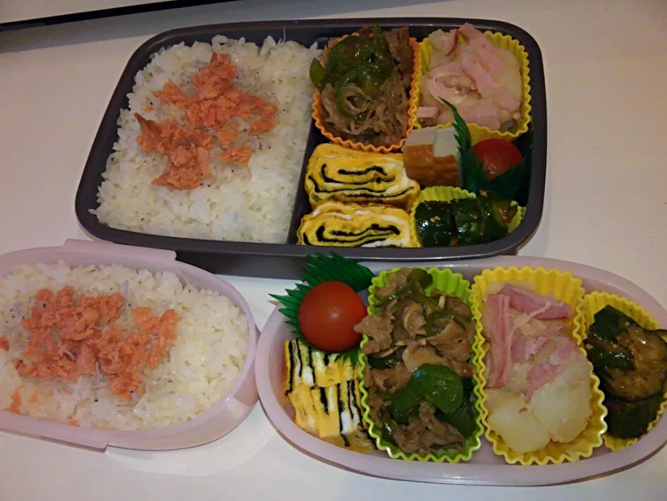 Snapdishの料理写真:今日もお弁当２つ♪|tomoko.nさん