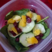 Pineapple Cranberry salad|Kii-Li Nugentさん