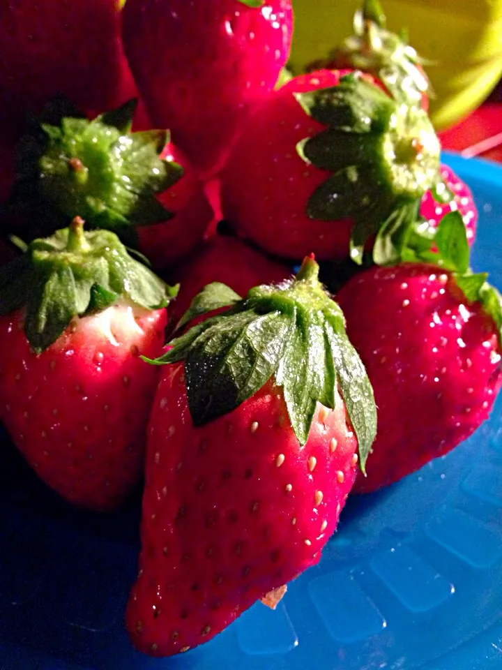 Tochiotome strawberries|Funky Chefさん