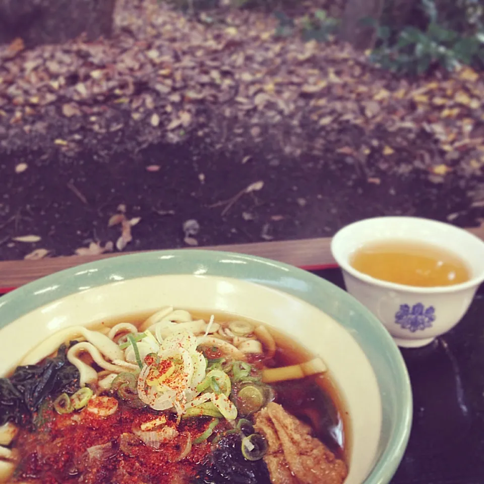 Snapdishの料理写真:“ 今年なん杯めだっけかな。”|おたんこ食堂  d□~°さん