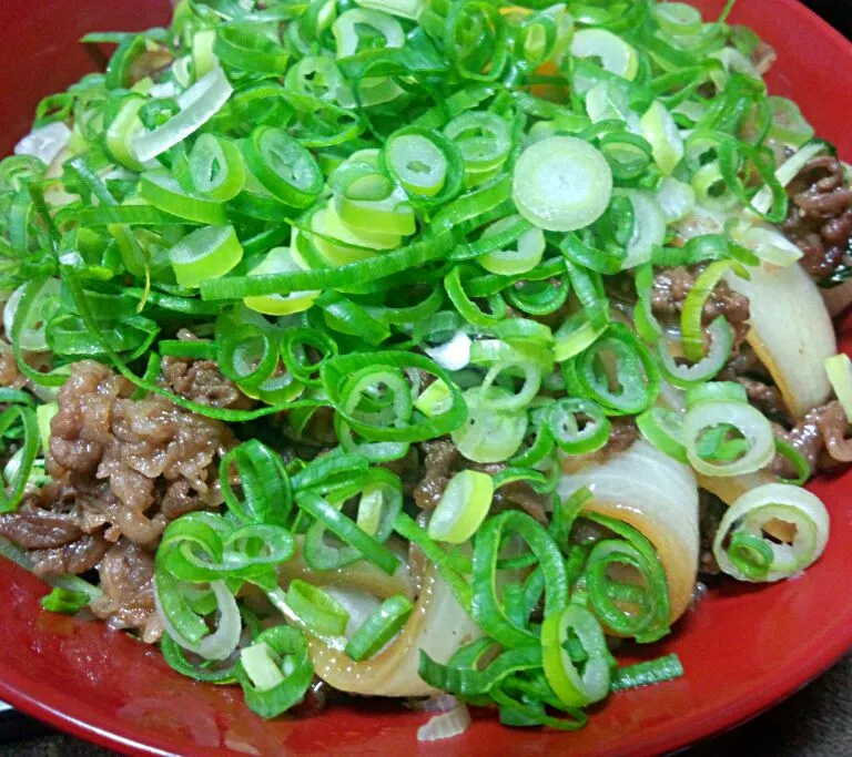 Snapdishの料理写真:ねぎだく牛丼|ぐっちさん