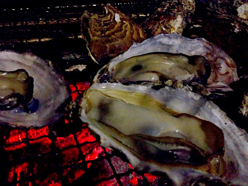 焼き牡蠣|ともこさん