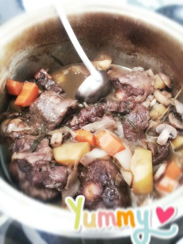 Snapdishの料理写真:Stewed beef in red wine|Felicia Yeeさん