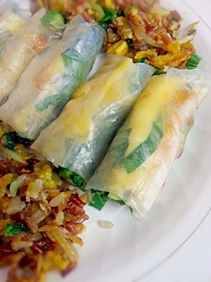 Snapdishの料理写真:Fresh Summer Rolls with Onion Omelet, Fresh Bok Choy & Bean Sprouts served wuth a side of Red & Brown sticky Fried Rice|The JADE chefさん