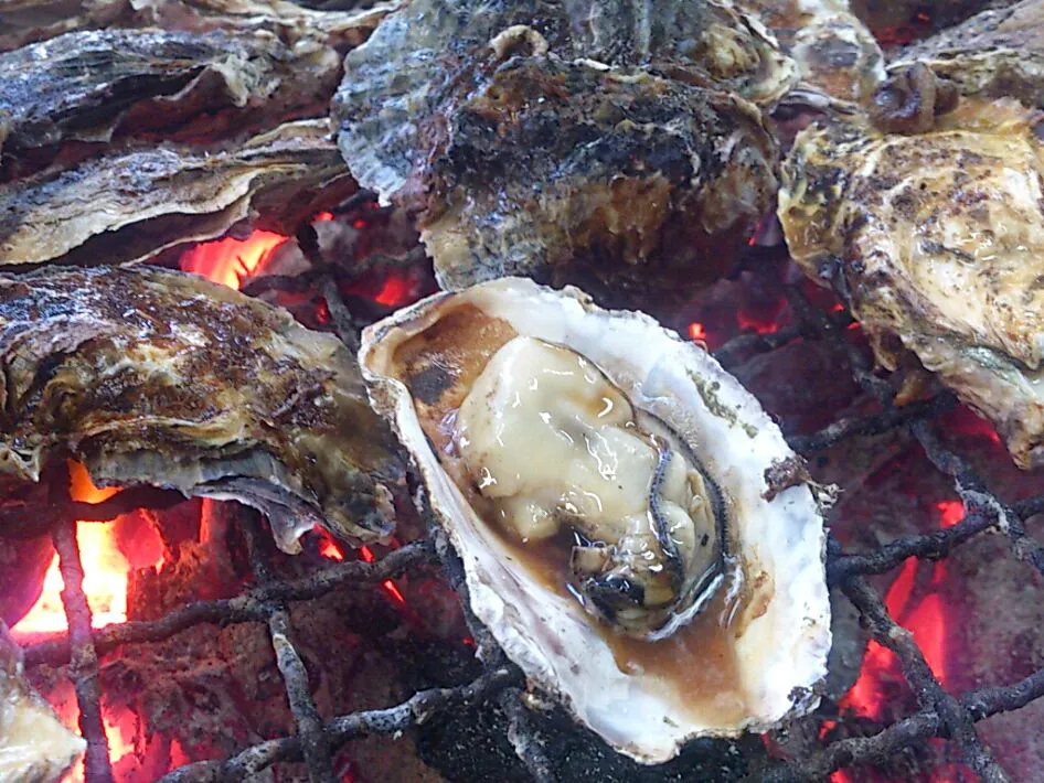 岡山  焼き牡蠣|chiyoさん