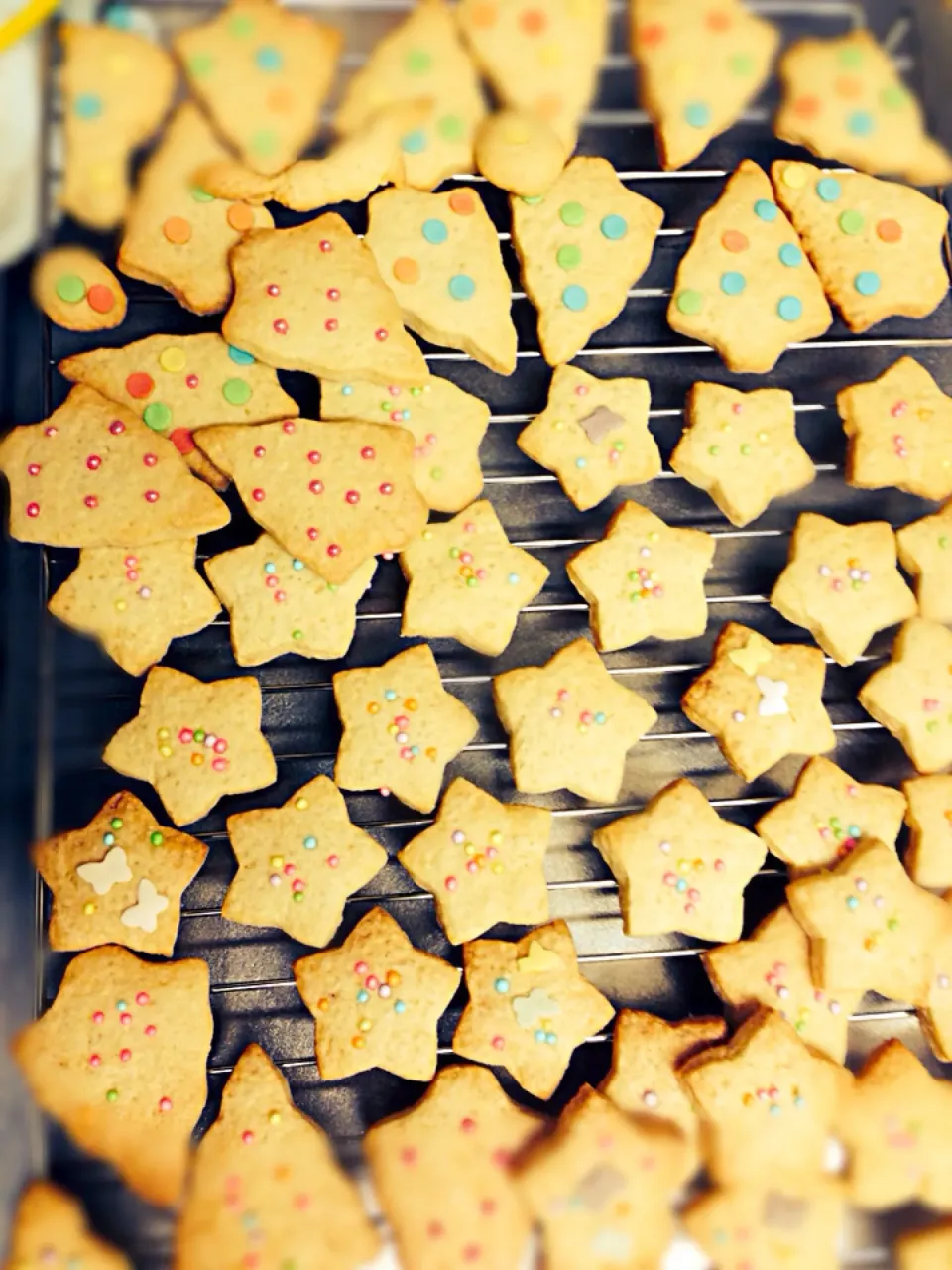 Christmas cookies|Reiko Joyceさん