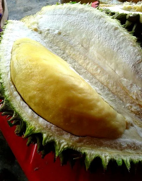Kampung durian|Frannyさん
