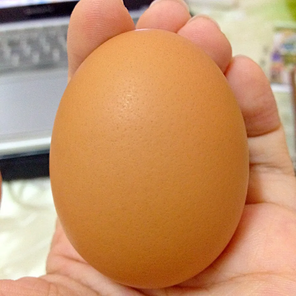 Hard boiled egg|ohmylifesparklesさん