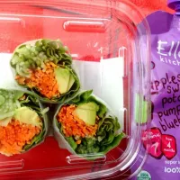 Snapdishの料理写真:Garden salad mock sushi rolls, 50 kcal Purée with apples, sweet potatoes, pumpkin and blueberries|Noelle Delitzschさん