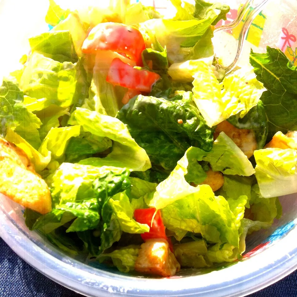 salad with tomatoes peppers and croutons|Whitney Kinnisonさん