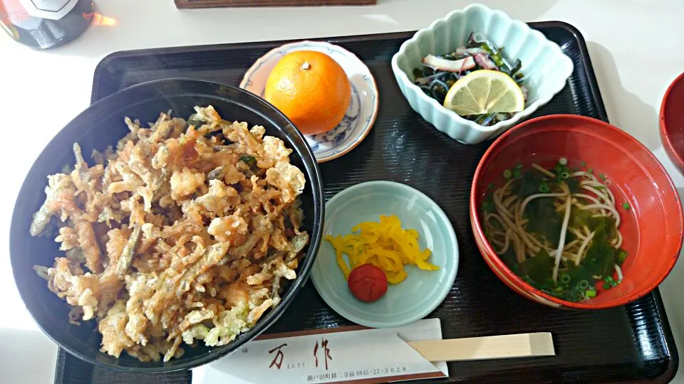 じゃこ天丼|まぐろさん