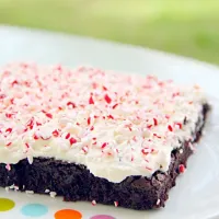 Snapdishの料理写真:Peppermint chocolate brownies|Erin Leeさん