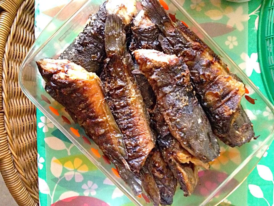 Inihaw na Hito (Grilled Mudfish)|Rockwell Leeさん