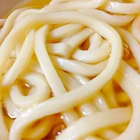 うどん|にゃおたんたんめんさん