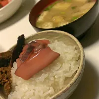 Snapdishの料理写真:白米オンザイカの塩辛&こんかにしん
半分たべたら、あっつい番茶注いでお茶漬けウママー|まどかさん