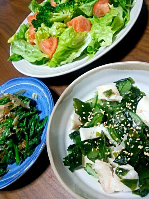 マンボウの酢の物　ほうれん草のお浸し　サラダ|Yuki Niiyaさん