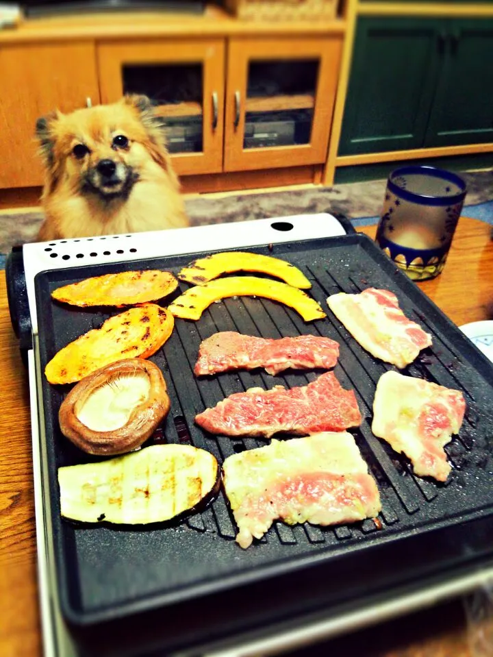 家焼肉🍺🍖|ちはるさん