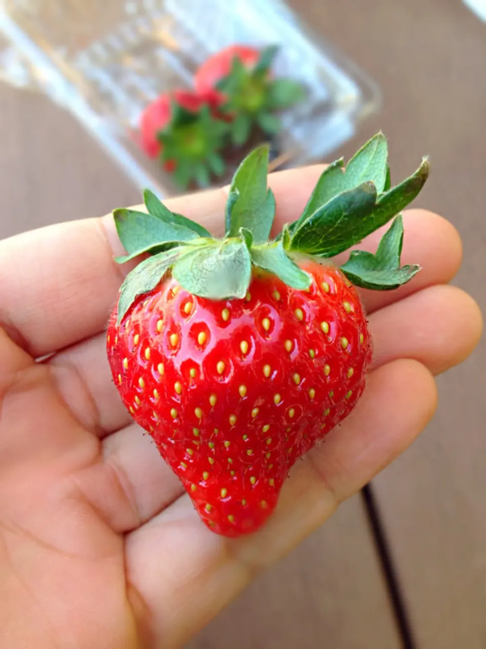 Snapdishの料理写真:Perfect strawberries|willzさん