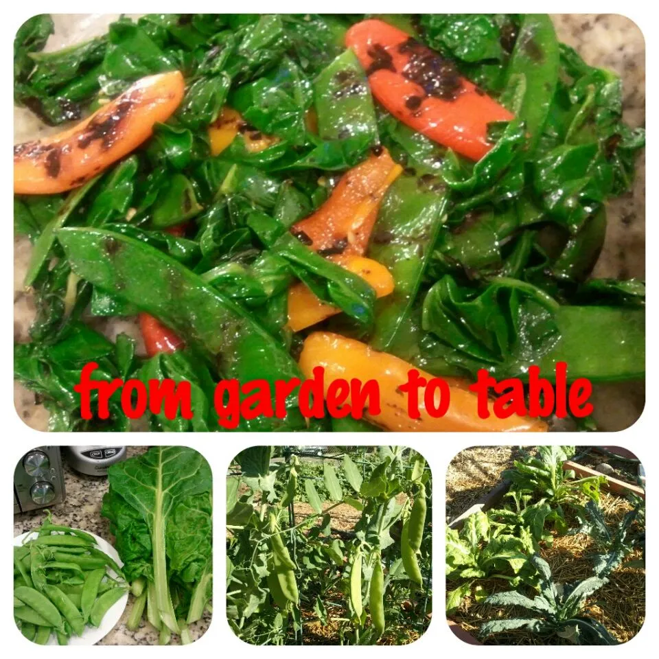 grilled swiss chard, snow peas, and baby sweet peppers|Chef On Qさん