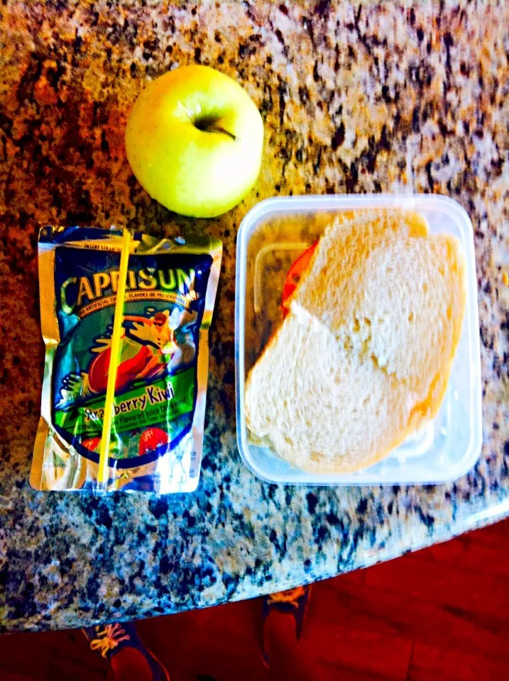 Ham sandwich and a golden delicious apple|Whitney Kinnisonさん