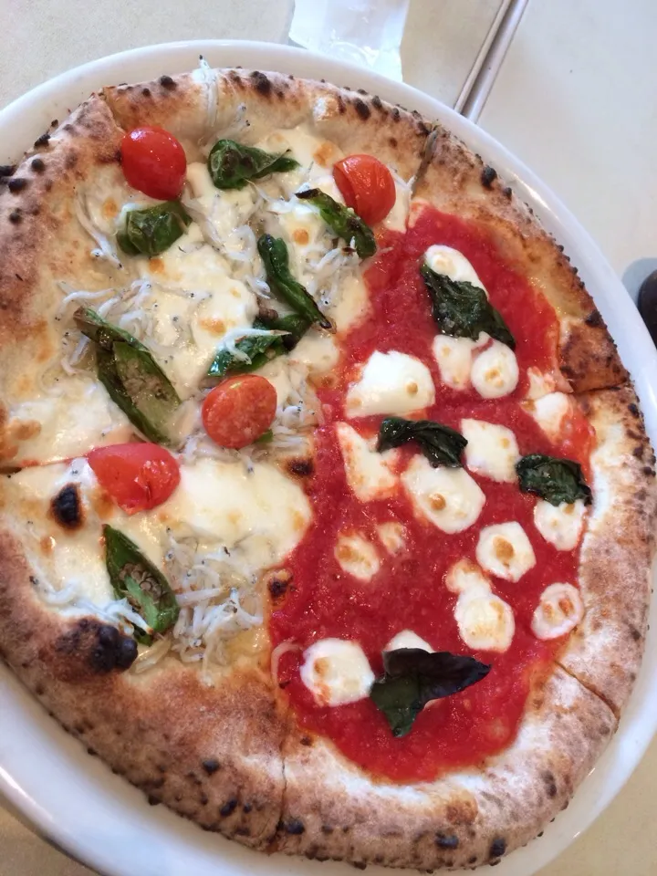 ハーフアンドハーフ|TwinTreeさん