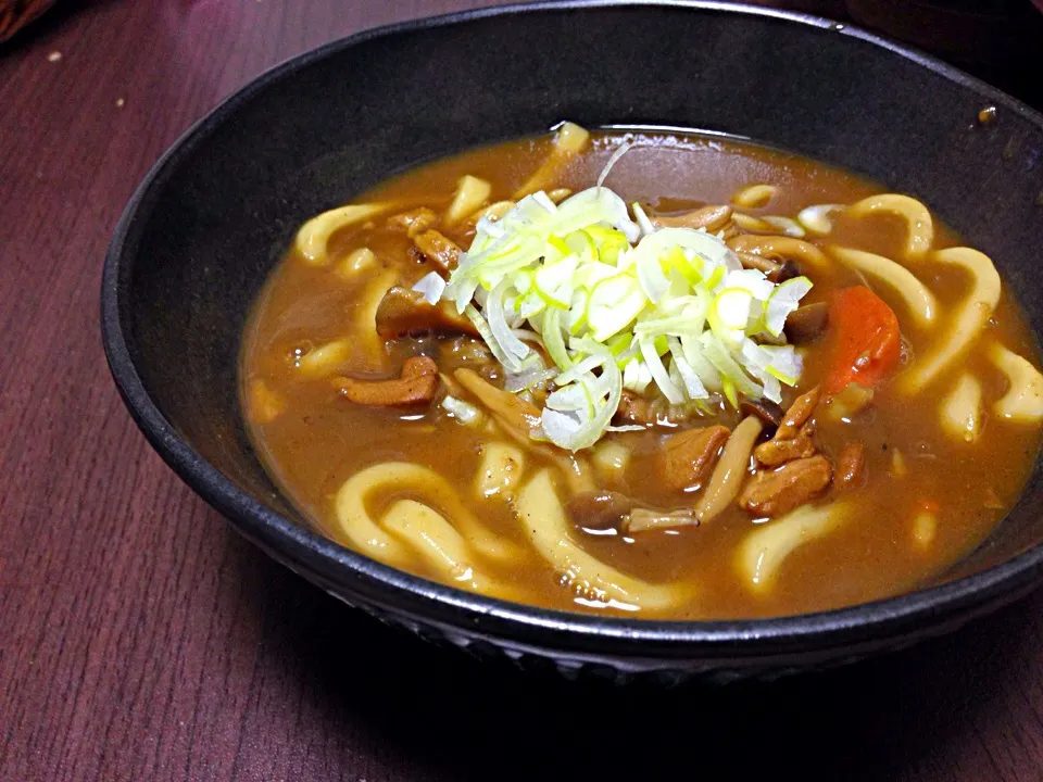 カレーなうどんで晩ごはん|こんこんさん