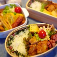 1月8日 チキンカツとマカロニサラダのお弁当|かとっちみゆさん